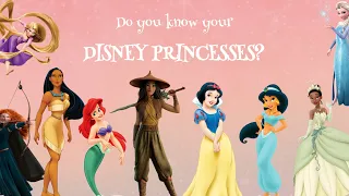 Can you name these DISNEY PRINCESSES?