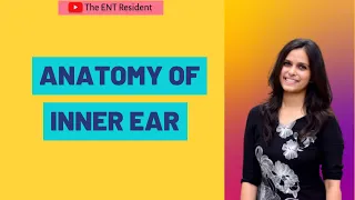 Anatomy of Inner Ear