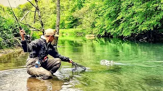 Fisch auf Fisch! Wir fangen dreistellig in diesem kleinen Bach!