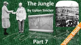 Part 7 - The Jungle Audiobook by Upton Sinclair (Chs 26-28)