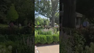 The White House Rose Garden