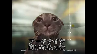 アークナイツ初心者ドクターあるある🔰　【猫ミーム】