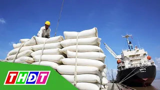 Nhu cầu nhập khẩu gạo Việt từ châu Âu tăng | THDT