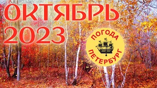 2023.10.18. Погода Петербург. 17:34. +4°. Закончил запись в 20:20.