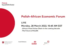 Polish-African Economic Forum – panel session 2