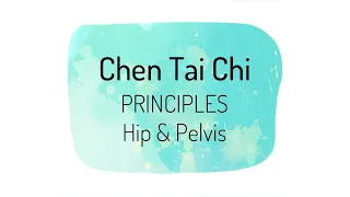 Hip and Pelvis Alignment in Chen Tai Chi Training