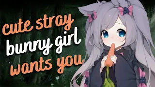 stray bunny girl wants you ♡ (F4M) [silly and sweet] [compliments] [wholesome] [asmr]