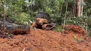 PROSES BULLDOZER MEMBUAT JALAN BARU DI DALAM HUTAN‼️