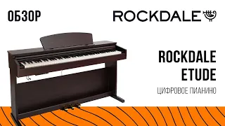 Цифровое пианино ROCKDALE Etude | Обзор