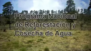 Historia del Programa Nacional de Reforestación y Cosecha de agua