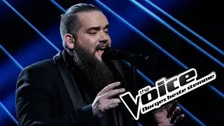 Thomas Løseth - Heal | The Voice Norge 2017 | Finale