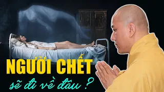 Người Chết sẽ đi về đâu - Thầy Thích Pháp Hòa (vấn đáp rất hay)