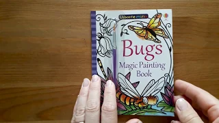 Bugs Magic Painting Book (minis) - Usborne