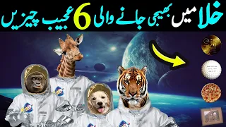 6 Strangest Things Sent Into Space Urdu خلا میں بھیجی جانے والی 6 حیرت انگیز چیزیں LalGulab