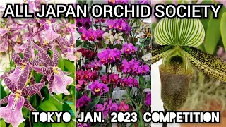 ALL JAPAN ORCHID SOCIETY SHOW Ikebukuro Bunka Kaikan Jan 5-9