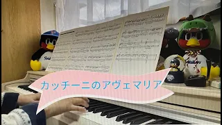 【カッチーニのアヴェマリア／ヴァヴィロフ】内田ゆうこさんver.のしっとりと落ち着いた曲を弾いてみました