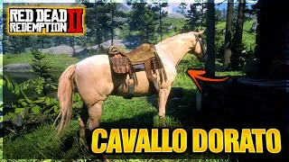 RED DEAD REDEMPTION 2 ITA - COME TROVARE IL RARISSIMO CAVALLO DORATO! RDR 2 ITA RARE HORSES