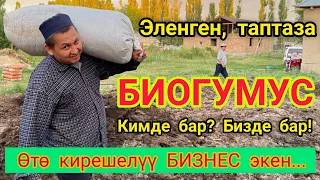 Эленген, таза БИОГУМУС кимде бар?  /  БИЗДЕ бар  /  СӨӨЛЖАН багып БАЙЫГЫЛА!