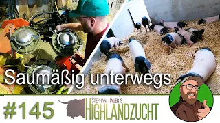 FarmVlog #145: Schweine bei Hauers | Zaunkönig reaktivieren | Schlepper lackieren