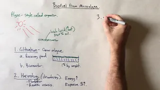 Biodiesel from microalgae