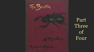 Learn English Through Story. The beetle 3