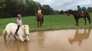 Watch Pony Dunk Little Girl Rider Into Mud and Roll Around