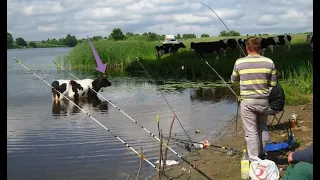 Браконьеры на рыбалке 2024 / Приколы на рыбалке / Пьяные на рыбалке / Шок рыбалка / трофей