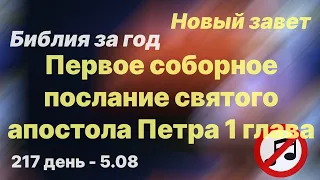 Библия за год |без музыки |день 217|Первое соборное послание св ап Петра 1|план чтения Библии 2022