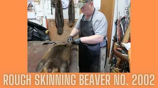 How I Rough Skin Beaver