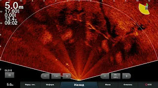 Livescope       Жерех в корягах ....