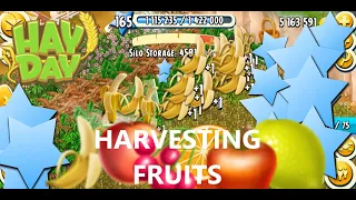 HAY DAY Harvesting Fruit Trees & Bushes With XP Booster! - Making Xp