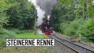 Best of Steinerne Renne