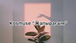 Kosmuse “Жапырағым” [сөзі, мәтіні, текст, аудио, караоке]