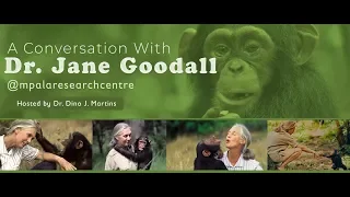 A Conversation With Dr. Jane Goodall