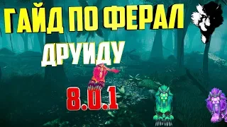 Гайд по ферал друиду 8.0.1 (полный разбор класса)  в BfA