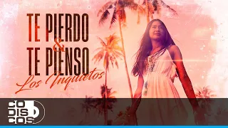 Te Pierdo Y Te Pienso, Los Inquietos Del Vallenato - Vídeo