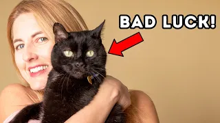 The Real Reason Black Cats Are Bad Luck Is Scary