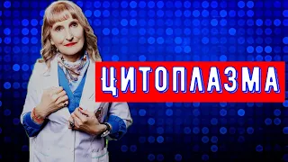 Цитоплазма , Микробиология, постулат #25, #shorts