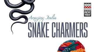 Snake Charmers | Volume 1 | Audio Jukebox | World Music | Instrumental | Music Today