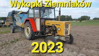 🔥 WYKOPKI ZIEMNIAKÓW 2023🔥 Agro Bracia🔥 Ursus c360 3p i Anna🔥💪