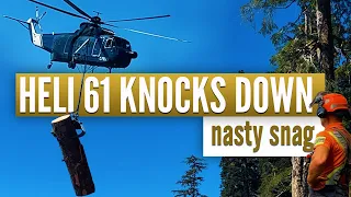 Smashing trees with helicopters | Accurate tree placement for easy bucking #lumberjack #husqvarna