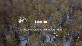 Lost 40 Scientific and Natural Area