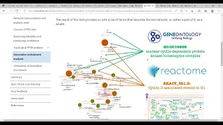 Annotation and Gene Ontology