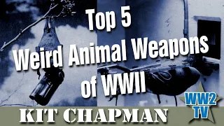 Top 5 Weird Animal Weapons of WWII