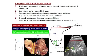 Ультразвуковая диагностика (УЗИ). Доктор Иогансен. Выпуск 8. Методика УЗИ печени.