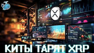 XRP ETP ТОРГУЕТСЯ ПО ЦЕНЕ 16.91$! BITFINEX ГЛАВНЫЙ КИТ RIPPLE? ЕЩЁ ЕСТЬ ВРЕМЯ КУПИТЬ! ПРОГНОЗ РИПЛ