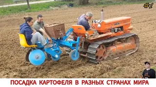 ПОСАДКА КАРТОФЕЛЯ МИНИ ТРАКТОРОМ В РАЗНЫХ СТРАНАХ МИРА / PLANTING POTATOES IN DIFFERENT COUNTRIES