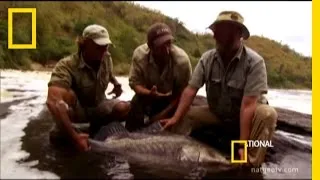 100-Pound Fish | National Geographic