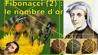Phi-bonacci : Kepler, Fibonacci et le nombre d'or (Fibonacci n°2)