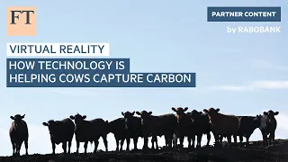 How technology is helping cows capture carbon | FT Food Revolution